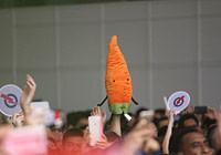 Election carrot